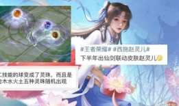 西施赵灵儿爆料视频,独家爆料视频背后的惊人真相